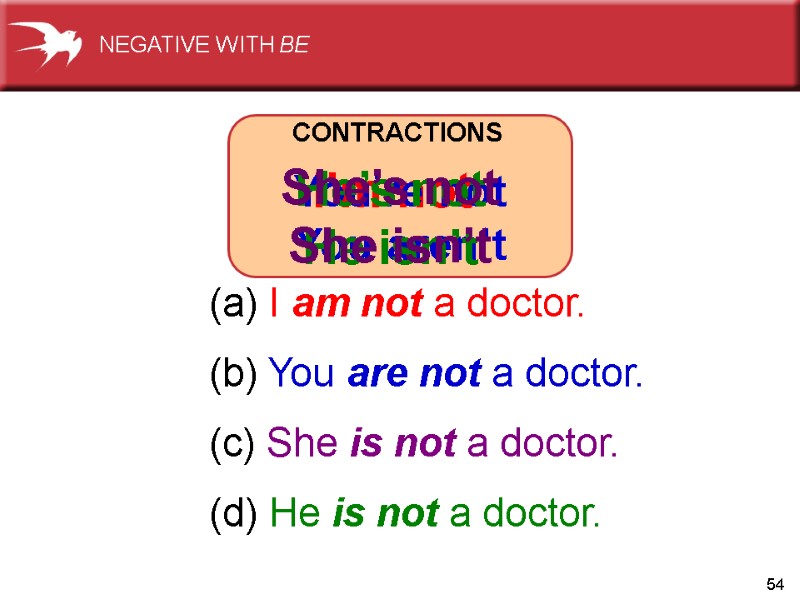 54 (a) I am not a doctor. (b) You are not a doctor. (c)